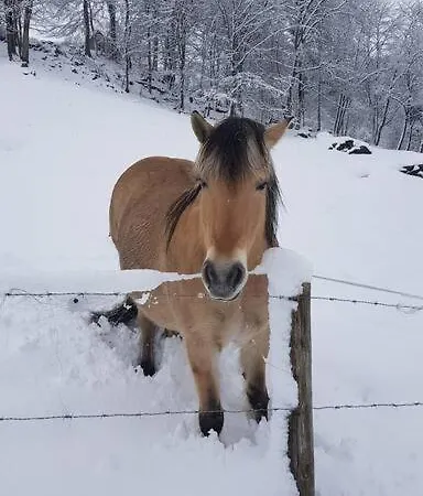 La Coume Du Cerf * Campan