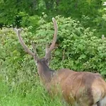 La Coume Du Cerf Chalet