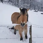La Coume Du Cerf * Campan