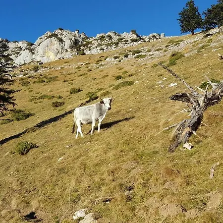 Alpehytte La Coume Du Cerf *